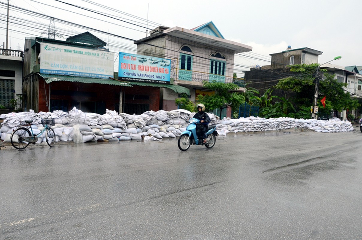 Gong minh cuu mo than Mong Duong trong lu-Hinh-11